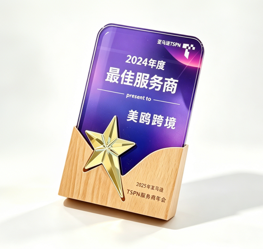 2025 年亚马逊TSPN 服务商年会
2024 年度最佳服务商